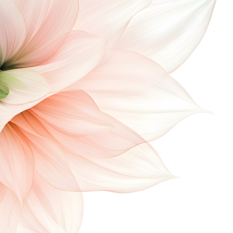 Let’s Talk Vaginal Health During Menopause