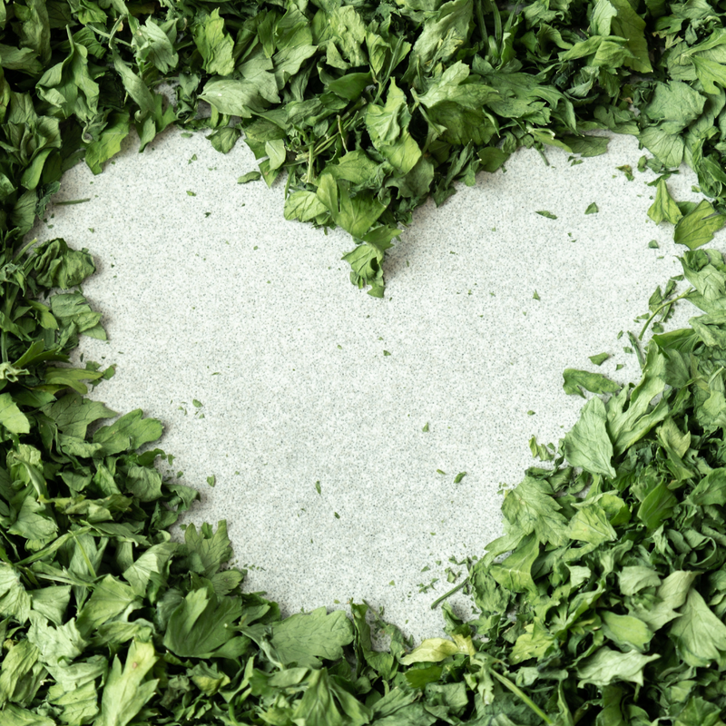 Why I Introduced APIH to The Natural Skincare Co: Adaptogens for Menopause and Modern Life